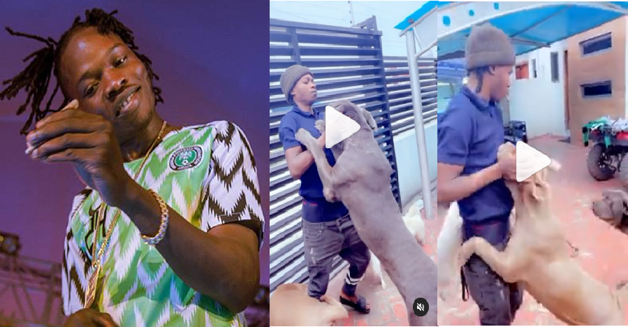 "Who Go Visit Me?" – Naira Marley Asks As He Shares Video Of His Dogs