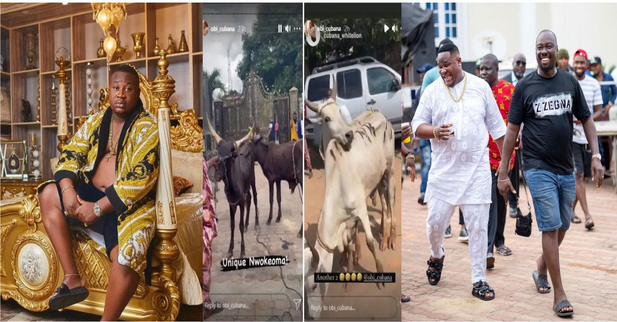 Nigerian Billionaire, Cubana Chief Priest Gifts Ex-Boss 46 Cows For His Mum’s Burial(PHOTOS)