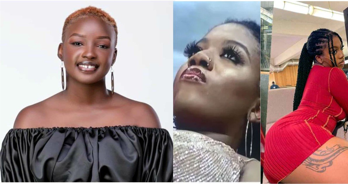 BBNaija 2021: Three V1brators Brought to the House