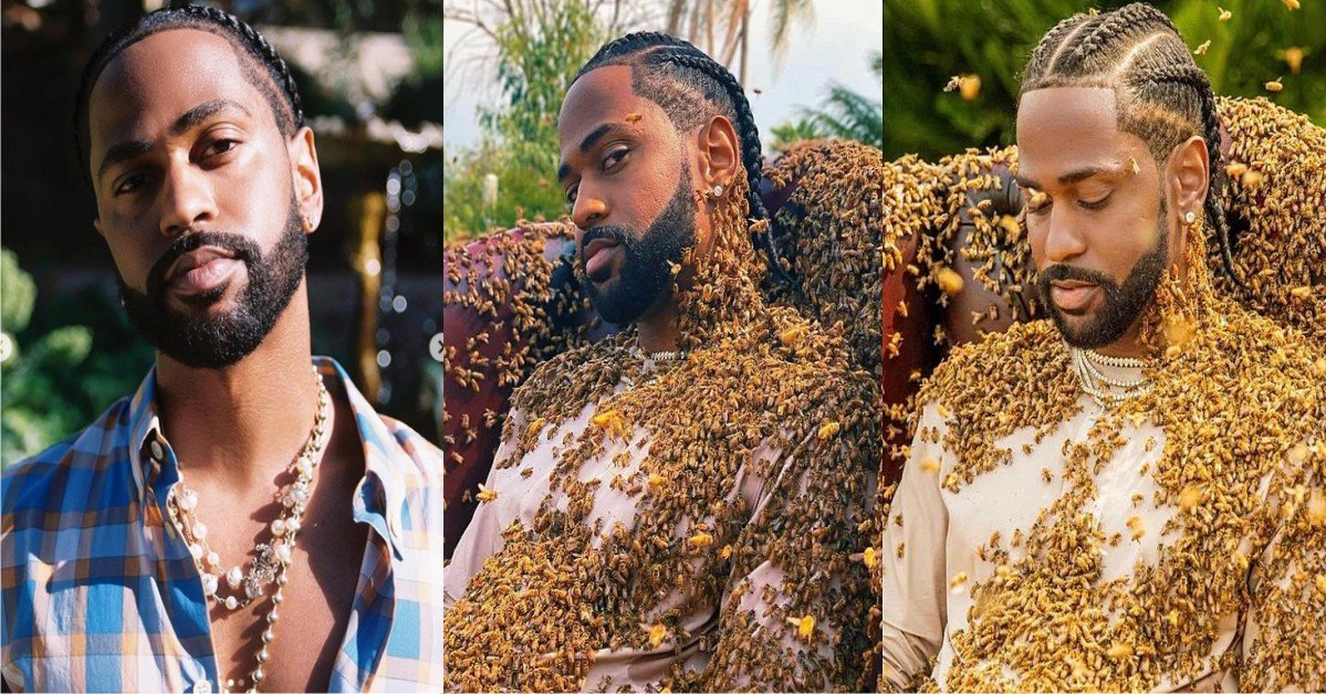 WATCH: Big Sean Covers Himself In 65,000 Live Bees