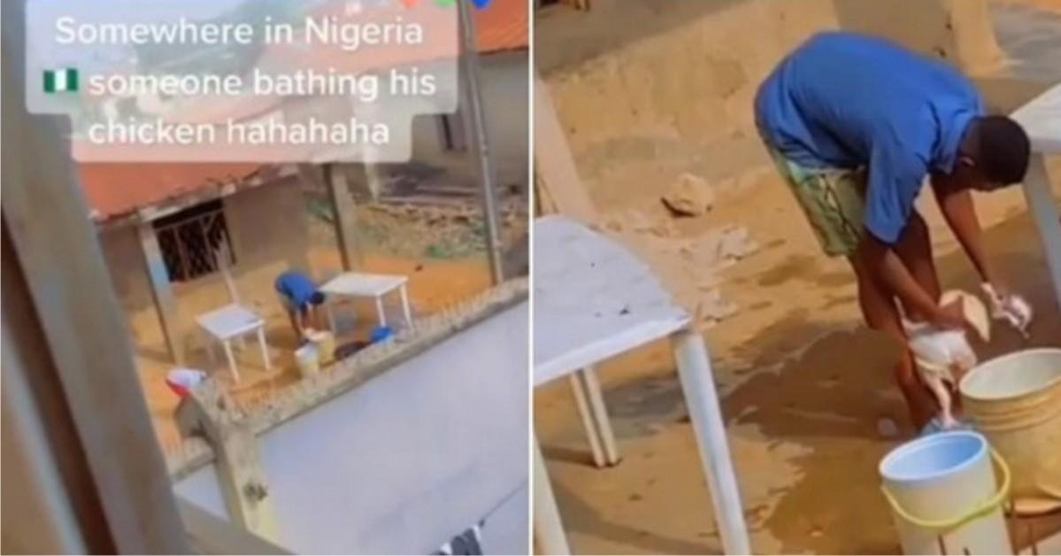 Reactions As Man Is Spotted Bathing Chicken With Soap And Sponge (Video)