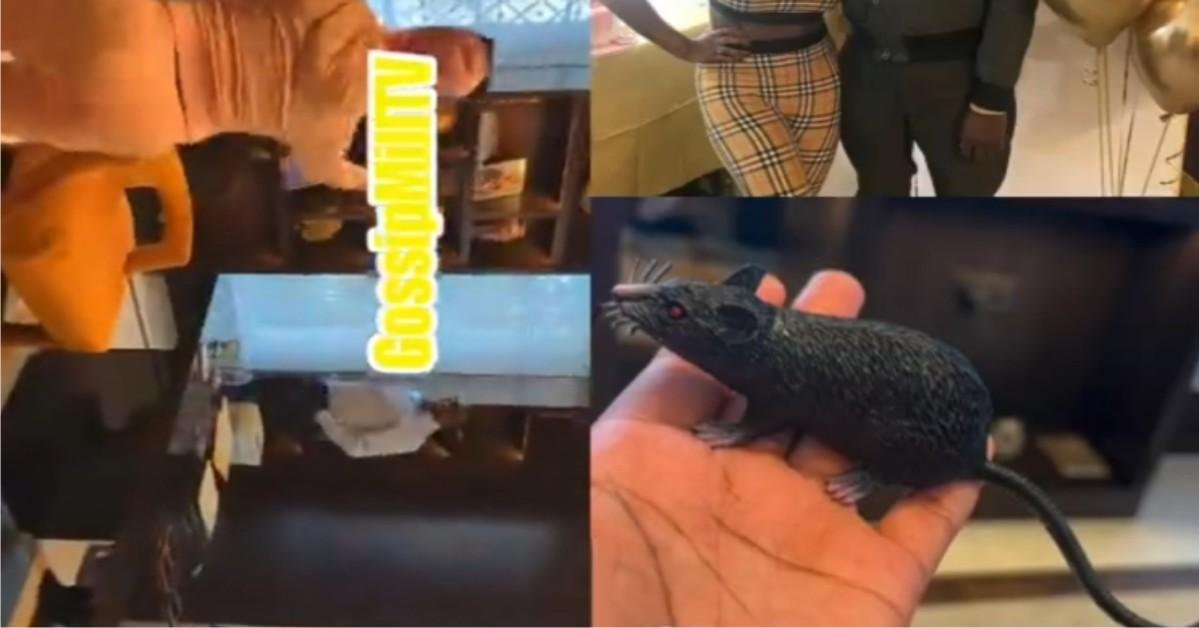 “Na ajebo prank b dis oo" — Reactions As DJ Cuppy Pranks Her Dad, Femi Otedola With A Fake Rat (Video)