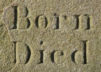 How To Write A Professional Biography