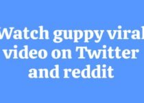 Watch guppy viral video on Twitter and reddit